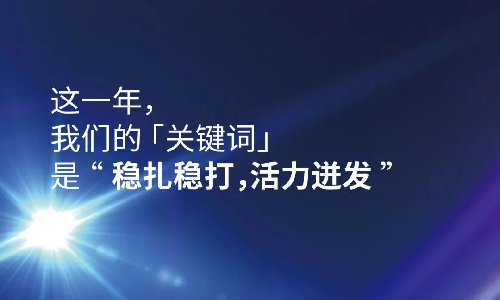 2023这一年，我们的关键词是“稳扎稳打，活力迸发”